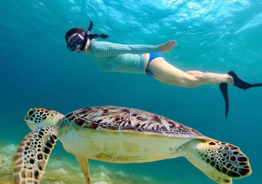 Bali: 3-Day Private Gili Islands Snorkel Tour with Hotel - Islands hopping on Day 2: back to Trawangan and then onward to Bali