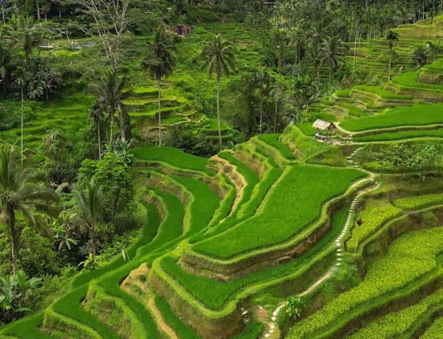 Bali: 3-Day Private Must-Do Highlights Nature & Culture Tour - Lempuyang Gates of Heaven to Tirta Gangga: iconic temples, plus the East Bali flow
