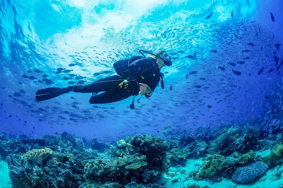 Bali: 3-Days PADI Open Water Diving Course - Day 2: Padang Bai Blue Lagoon and the First Open-Water Sessions