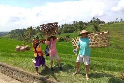Bali 4WD Adventure - Jatiluwih Rice Terraces Walk: UNESCO Views and Real Footwork