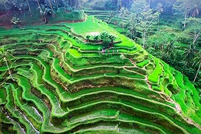 Bali 5 Days Private Tours Includes Air Port Transfers - Day III: Taman Ayun, Bedugul Lake Beratan, Jatiluwih UNESCO terracing, Tanah Lot