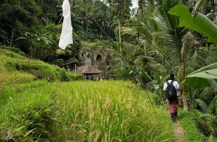 Bali: 6-Hour UNESCO Sites Cultural Walking Tour - Key highlights worth marking