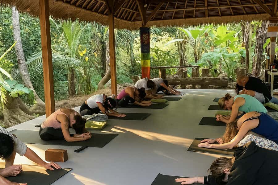 Bali: 7 Day Solo Traveler’s Yoga Retreat In Ubud - Your meals: daily vegetarian organic food that keeps the week steady