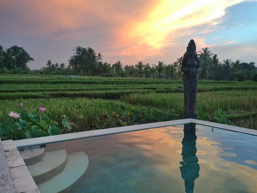 Bali: 7 Day Solo Traveler’s Yoga Retreat In Ubud - What the week feels like: sunrise yoga, sunset meditation, and breathing room