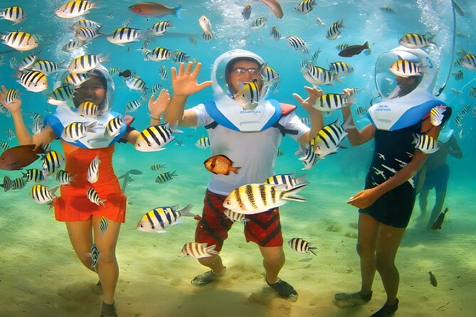 Bali Activity: Bali Sea Walking in Nusa Dua Ocean - Your 4-Hour Flow: From Briefing to Lunch