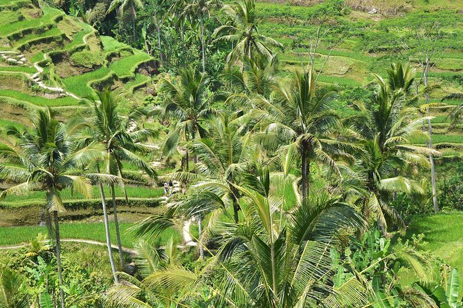 Bali Airport Arrival Transfer and Private Car Charter Combo - Luggage and what fits in the vehicle
