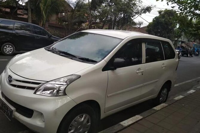 Bali Airport (DPS) Private Transfer to Multiple Destinations - Getting your driver details: the timing I’d actually trust