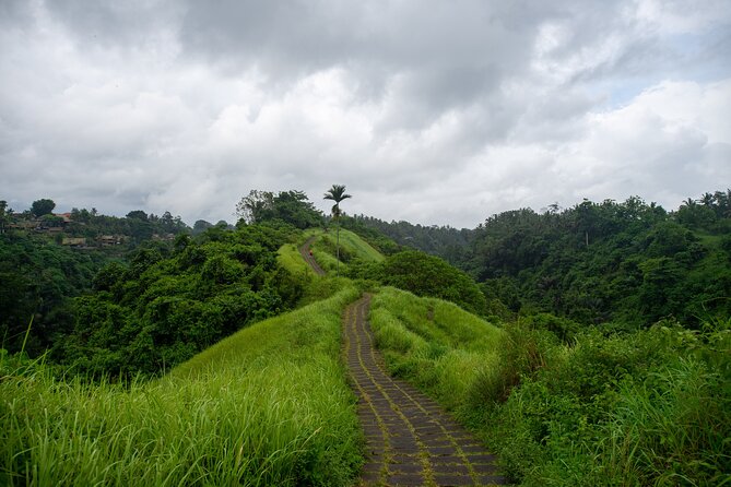 Bali Airport Pickup Transfer to Ubud Area (Private) - How Long the Drive to Ubud Really Takes