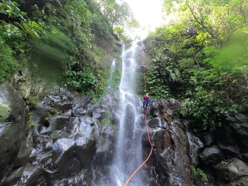 Bali: Alam Canyon The Natural Canyoning Adventure - Should You Book Alam Canyon Canyoning with Rindu Adventures?