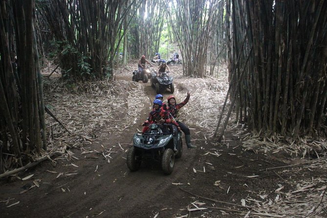 Bali All Inclusive : Tlaga Singha Infinity Pool & Atv Adventure - Price and value: what $85.50 includes and why it’s not just a cheap add-on