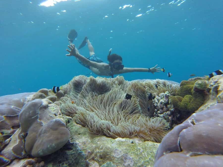 Bali: All-Inclusive Water Sports & Mangrove - Tanjung Benoa: Your All-In-One Water Sports Base