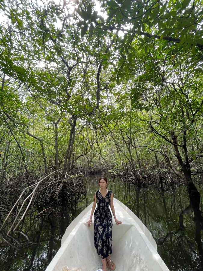 Bali: All-Inclusive Water Sports & Mangrove - Mangrove and Turtle Island: A Slower Pace Break