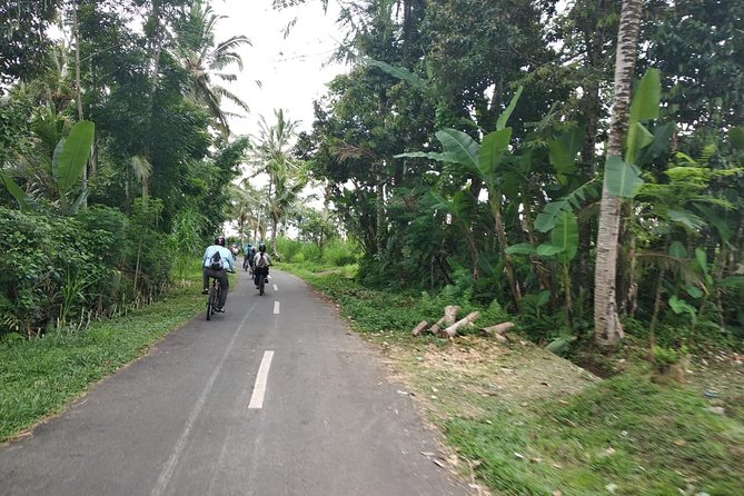 Bali Amazing Cycling Tour - Getting picked up in Ubud and starting at Dejulius Tour