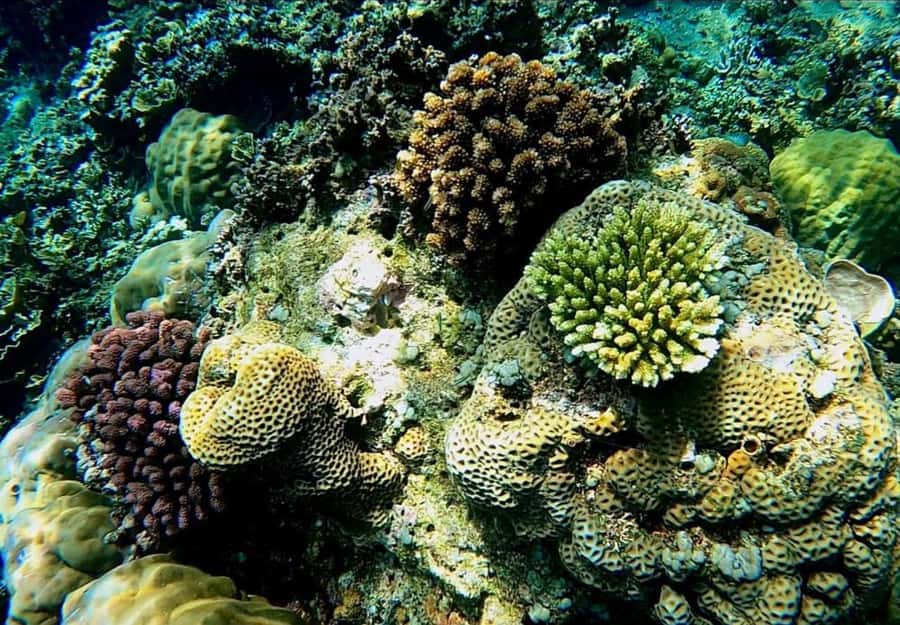 Bali: Amed, Jemeluk & Lipah Beach Snorkeling Adventure - Key highlights at a glance