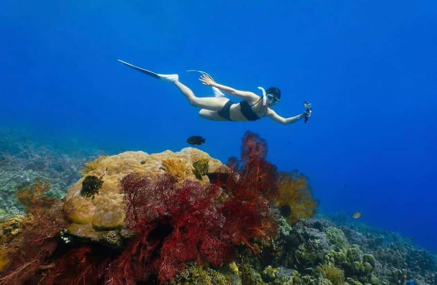 Bali: Amed, Jemeluk & Lipah Beach Snorkeling Adventure - Time, Price, and What Makes This $27 Worth It
