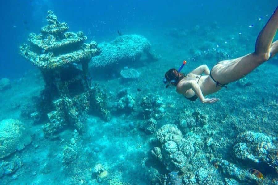 Bali/Amed: Underwater Temple Snorkeling Experience - Bali Amed’s Japanese Shipwreck and Turtle Point: why this day feels different