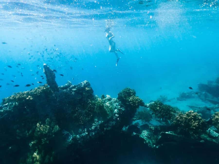 Bali/Amed: Underwater Temple Snorkeling Experience - Getting to Amed: transfers, shared rides, and realistic timing