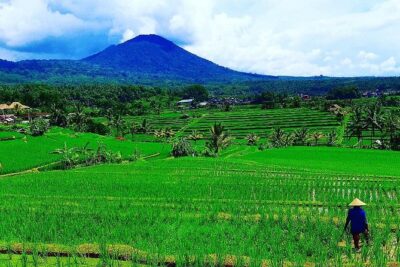 Bali Ancient Temples Tour - Taman Ayun Temple: A 17th-Century Kingdom Center