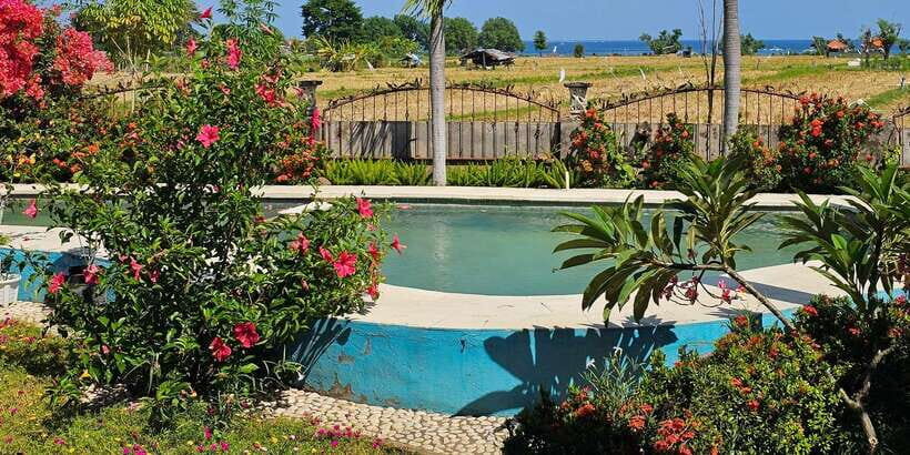 Bali: Aqua Healing Lovina Unique Body Experience - Quick tips so the warm-water hour goes smoothly