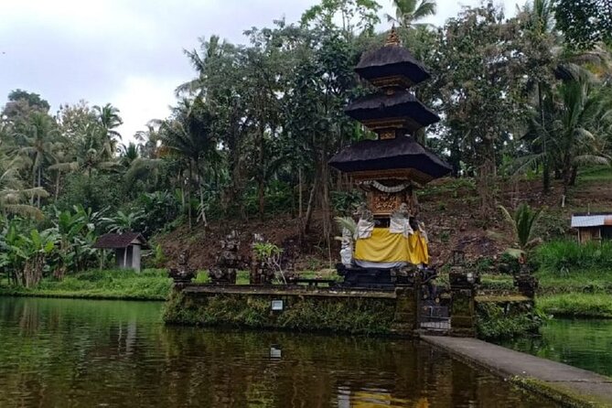Bali ATV Combined with Mumbul Lake And Sangeh Monkey Forest - Sangeh Monkey Forest: Nutmeg Trees and Real Wildlife Encounters