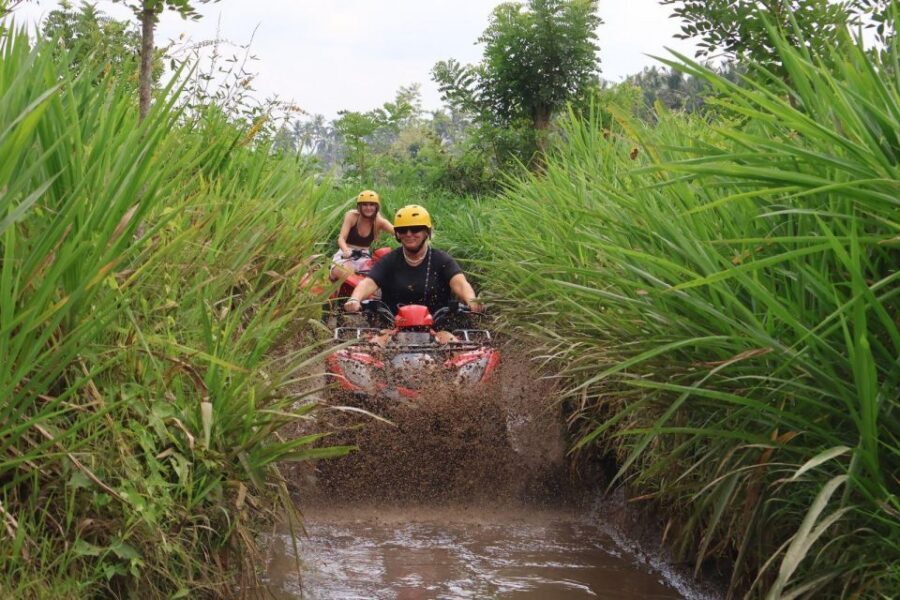 Bali: ATV Gorilla Cave, Ubud Monkey Forest, & Waterfall Tour - Price and value: what your $53 actually buys you
