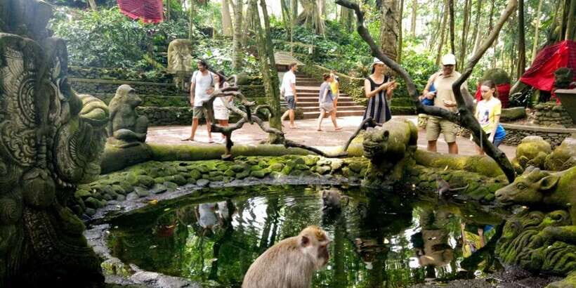 Bali: ATV Gorilla Cave, Ubud Monkey Forest, & Waterfall Tour - Who this tour suits best (and who should pass)