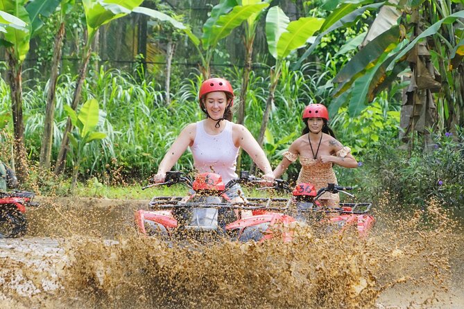 Bali ATV Quad Adventure - Ubud Monkey Forest and Waterfall - Sacred Monkey Forest Sanctuary: fun, rules, and photo reality with monkeys nearby