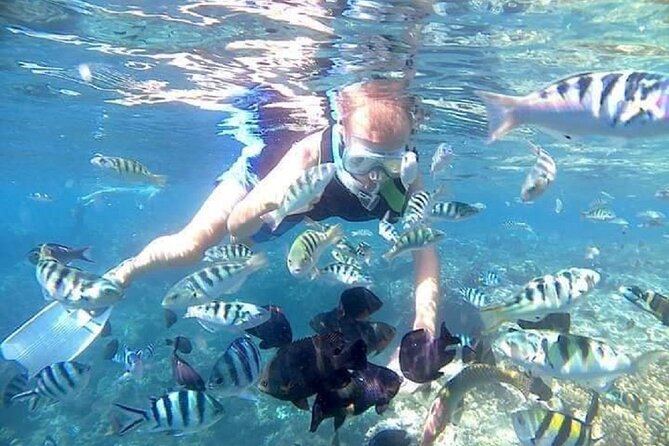Bali ATV Quad Bike Adventure and Snorkeling Tour - Price and Value: What $99 Is Really Buying