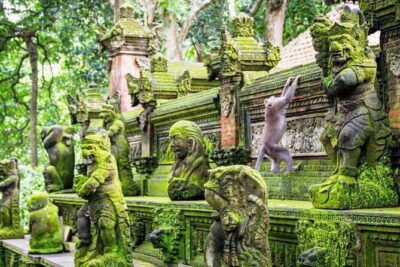 Bali ATV Quad Bike Ubud Swing & Monkey Forest All Inclusive - Getting cleaned up: shower and lunch that make the day easier