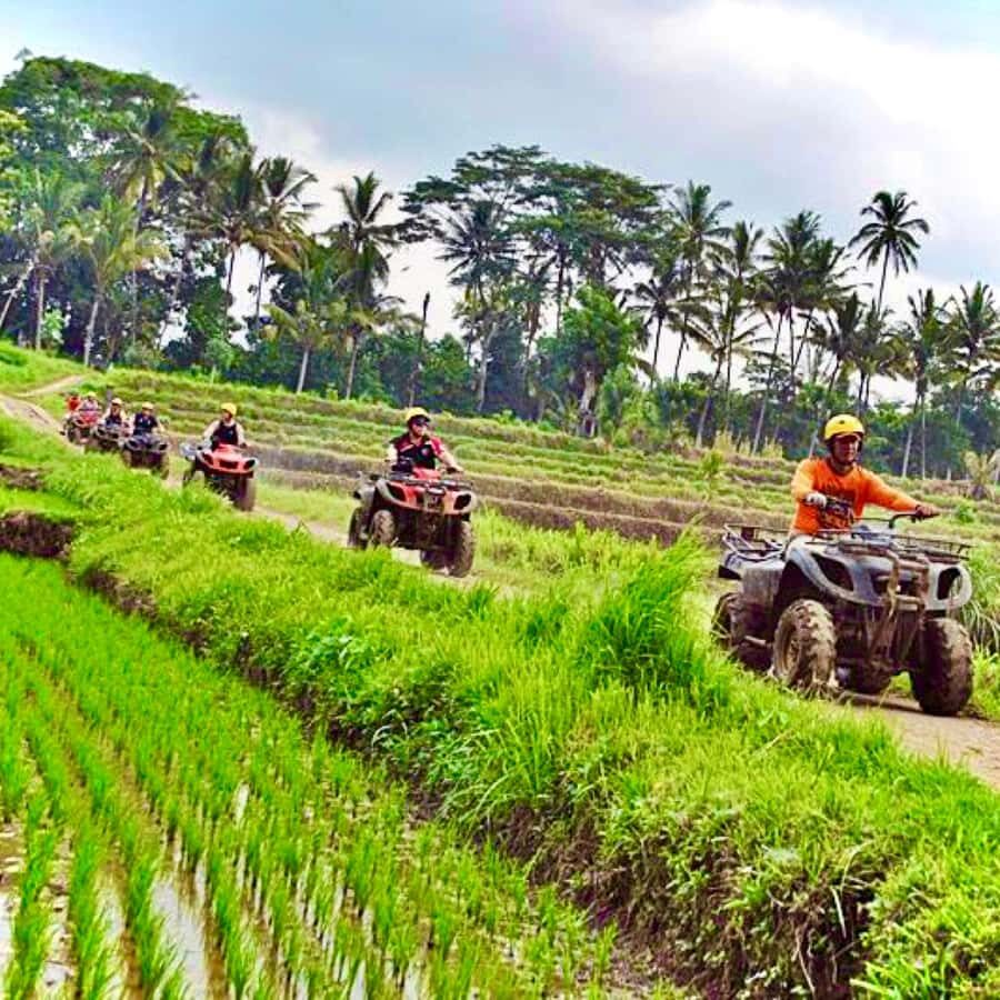 Bali: ATV Quad Biking and Water Rafting Adventure Tour - Key Points You’ll Care About