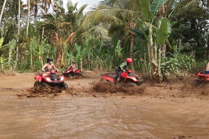 Bali ATV Quadbike Through Gorilla Face Cave - Who Should Book This ATV Gorilla Face Cave Tour?