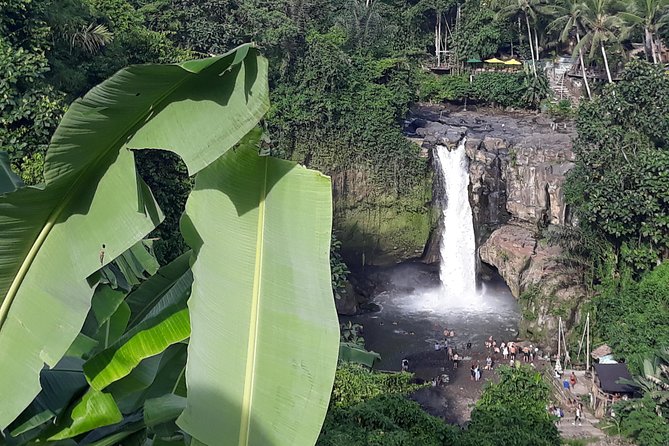 Bali ATV Rafting And Ubud Waterfall Private Tour - Who this tour fits best