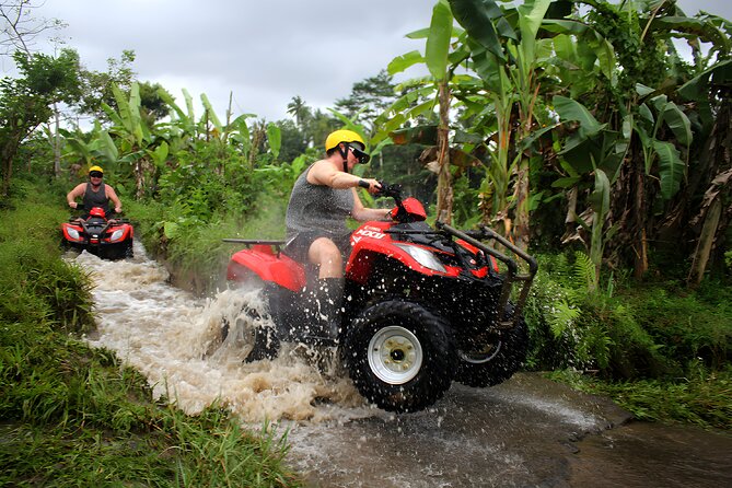 Bali ATV Ride Adventure Tours - Best Ubud Activity - The Ride Itinerary: Rice Terraces to Bamboo Forest (And Back Again)