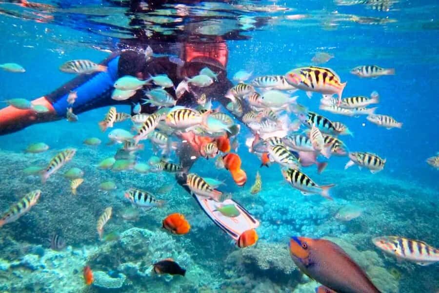 Bali: ATV Ride and Snorkeling Tour with Hotel Transfer - Key Highlights at a Glance