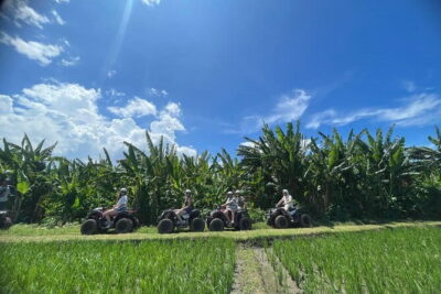 Bali ATV Ride On the Beach, Rice Field and Village Tour 2 Hour - Price and Value at $44.50: What You’re Actually Paying For