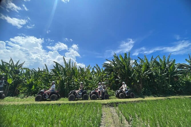 Bali ATV Ride On the Beach, Rice Field and Village Tour 2 Hour - Price and Value at $44.50: What You’re Actually Paying For