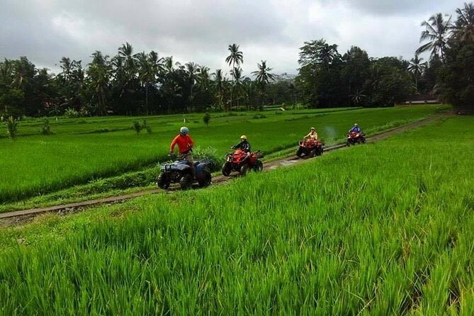 Bali ATV Ride tour Ubud - Price and value for a 2-hour private adventure