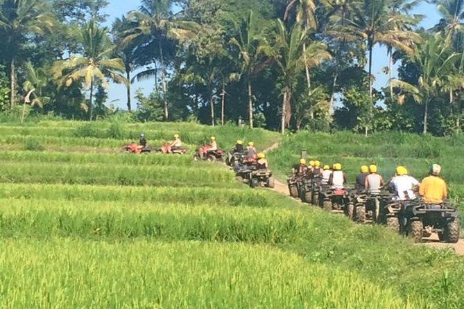 Bali ATV Ride Ubud Jungle Track - Why this Ubud ATV feels different from the usual Bali day