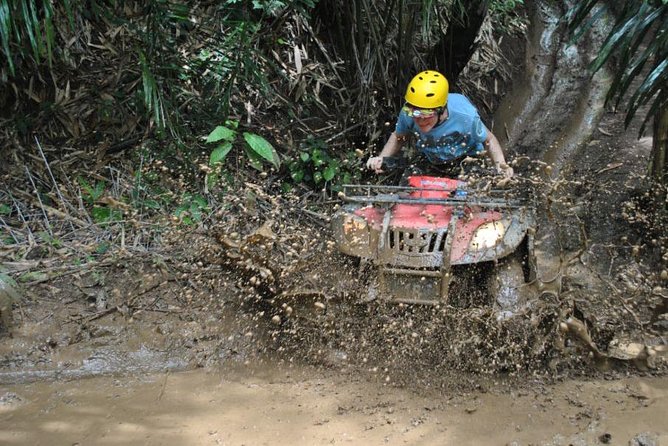 Bali ATV Ride Ubud Jungle Track - Rice-terrace scenery without the typical crowd grind