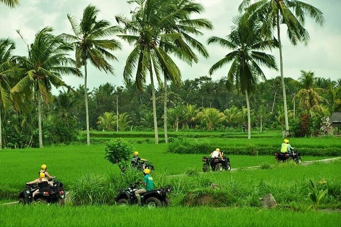 Bali ATV Ride waterfall jungle and rice fild track ubud - The 2-hour ATV ride: rice fields, jungle, tunnels, and waterfall time