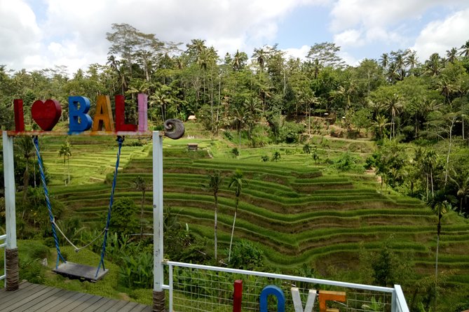 Bali ATV Ride with Jungle Swing and Rice Terrace Tour - Who should book this ATV + swing + terraces day