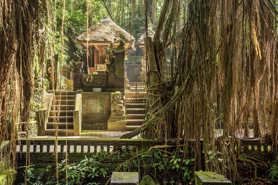 Bali: ATV, Water Rafting, and Monkey Forest Tour - The Guides and Drivers: Why They Change Your Day