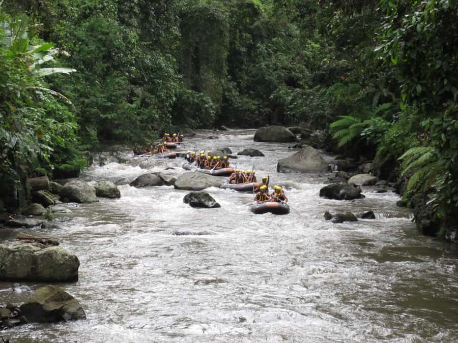 Bali: ATV, Water Rafting, and Monkey Forest Tour - Sacred Monkey Forest Sanctuary: Fun Up Close, But Follow the Rules