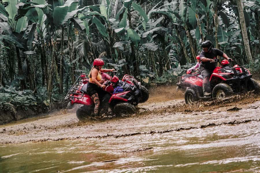 Bali: ATV, Water Rafting, and Monkey Forest Tour - Ayung Dewata Rafting: Rapids, Paddles, and a Stair Reality Check