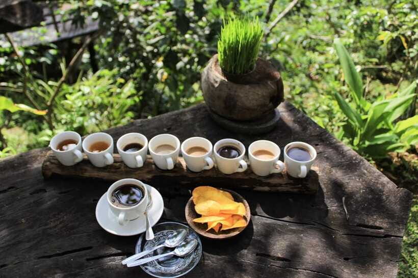 Bali: Authentic Culinary Street Food Experience Tour - Guide Quality: The Real Reason People Feel Like They Won the Day