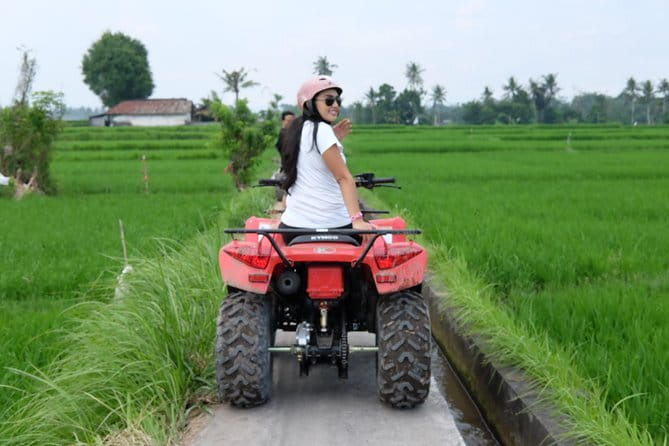 Bali Ayung River Rafting And Bali Quad Bike Packages - Scenery Worth Looking For: Rice Fields, Carvings, and Waterfall Views