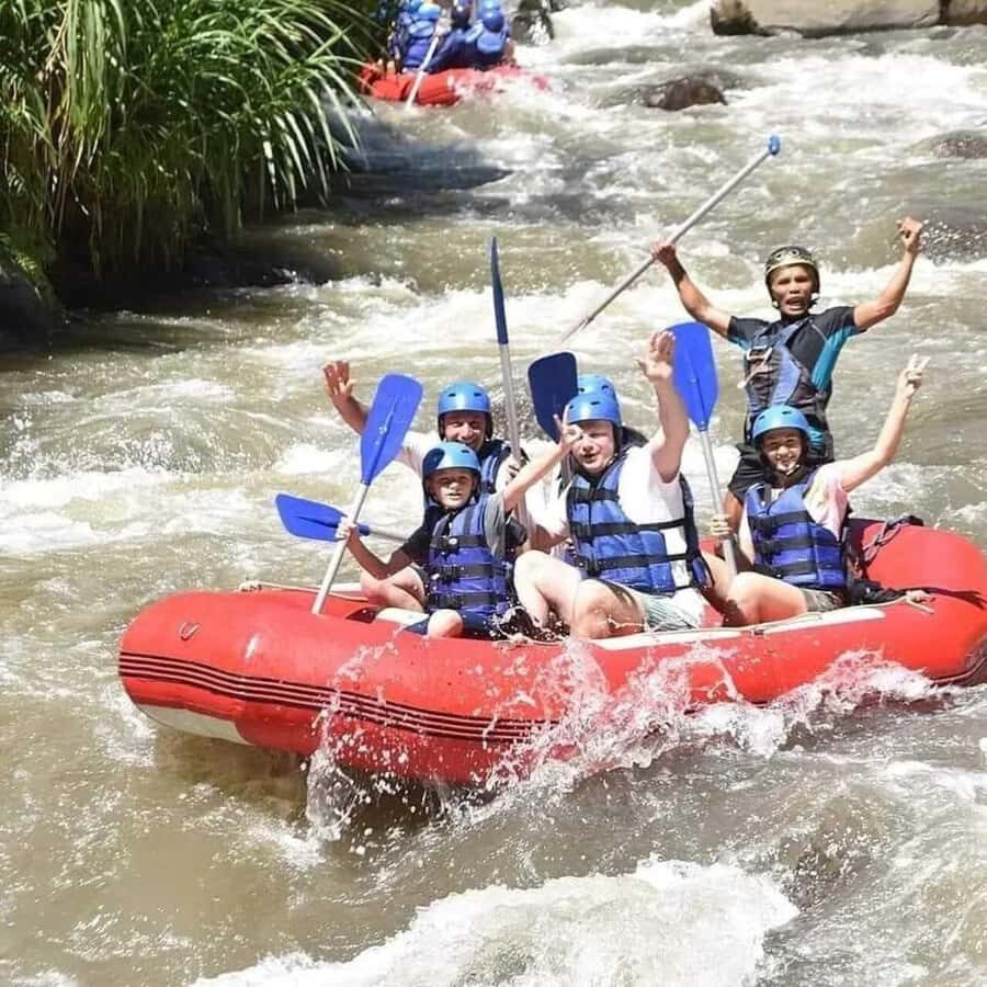 Bali: Ayung River Rafting with Gourmet Lunch - Jungle and Old Ruins: What You’ll See Between Rapids