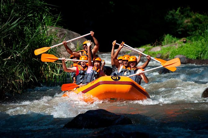 Bali Ayung River White Water Rafting with Transport - Key Things I’d Bookmark Before You Go