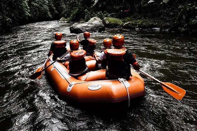 Bali Ayung River White Water Rafting with Transport - Your Ayung River Day: Grade II–III Rapids and Guided Safety