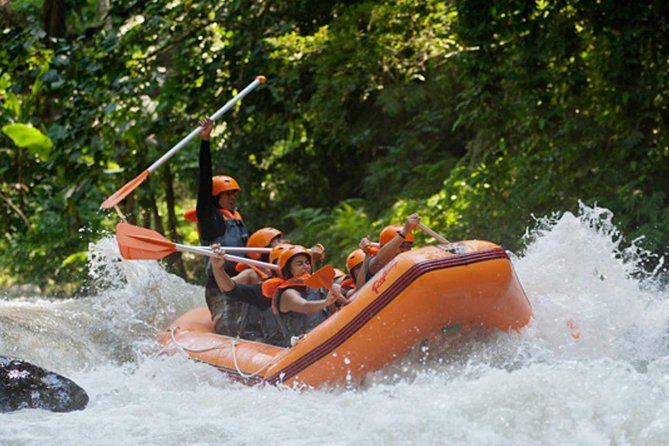 Bali Ayung River White Water Rafting with Transport - Who This Tour Fits Best (and Who Might Want Another Option)